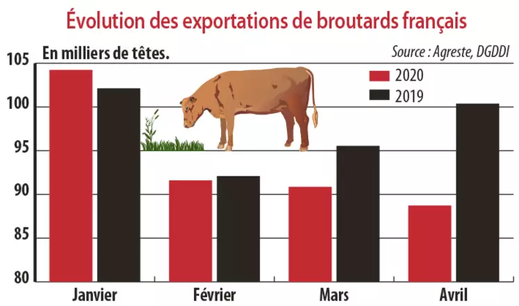 Evolution des exportations de broutards français