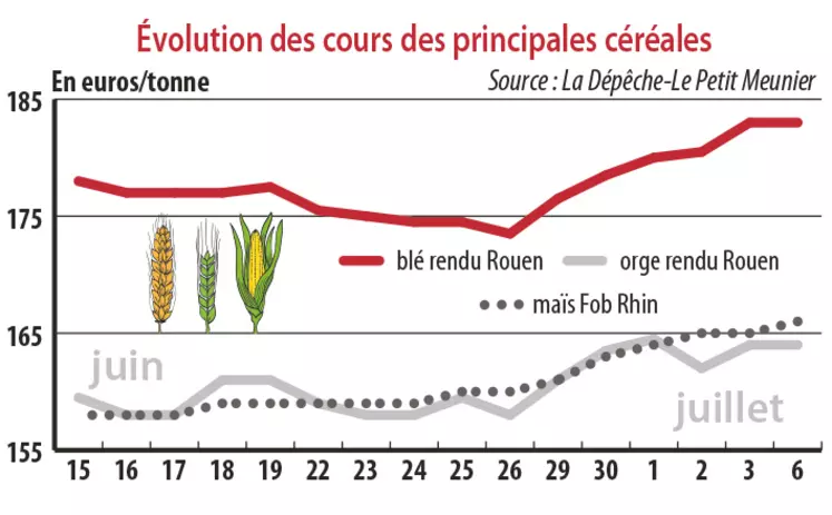 Evolution des cours des principales céréales