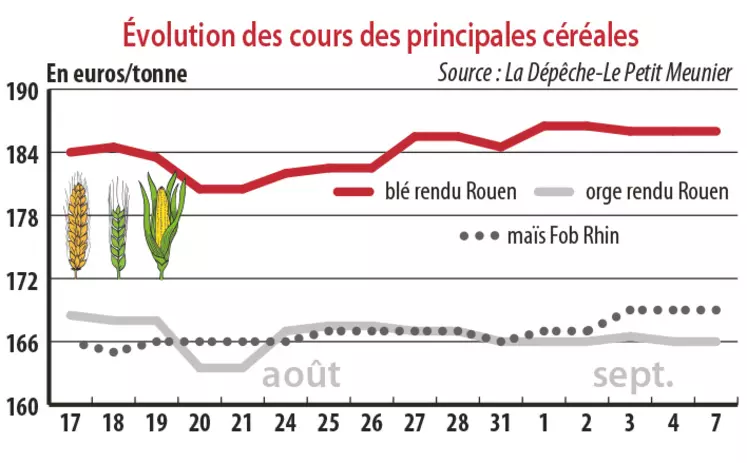 Evolution des cours des principales céréales