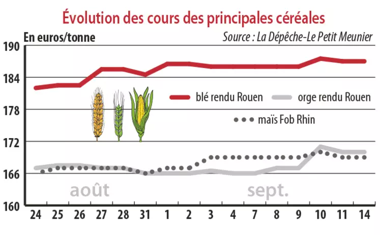 Evolution des cours des principales céréales