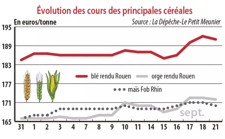 Evolution des cours des principales céréales