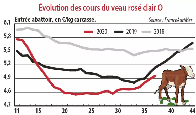 Evolution des cours du veau rosé clair O