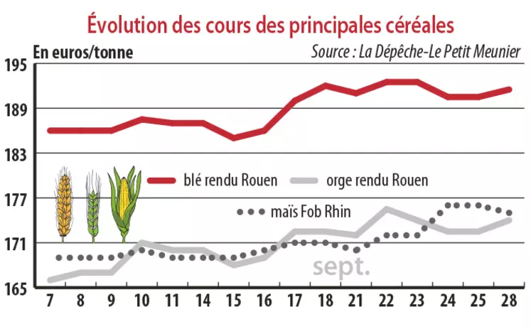 Evolution des cours des principales céréales