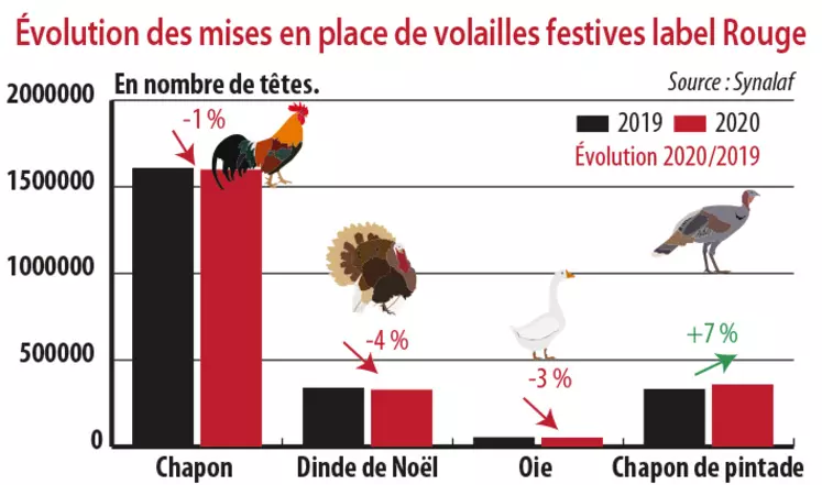 Evolution des mises en place de volailles festives label Rouge