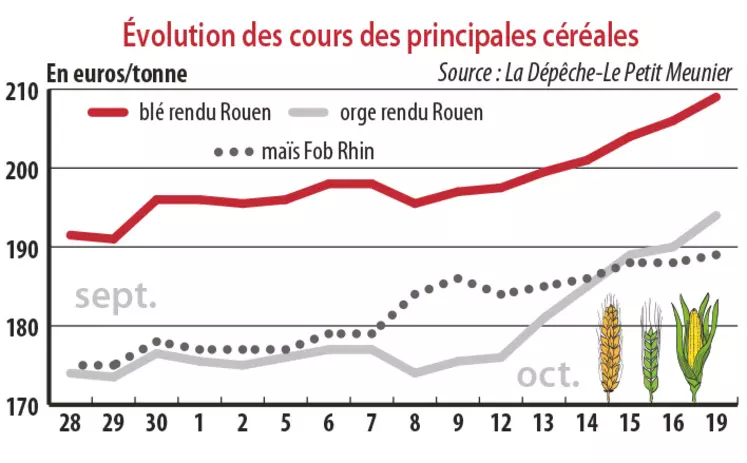 Evolution des cours des principales céréales