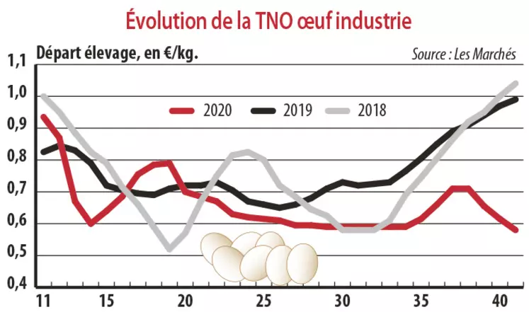 Evolution de la TNO œuf industrie
