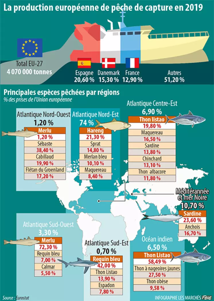 Infographie produits de la mer