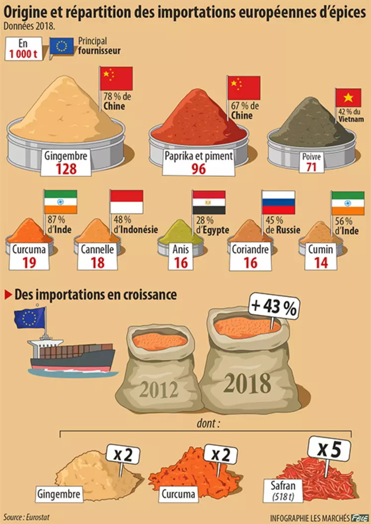 Infographie épices