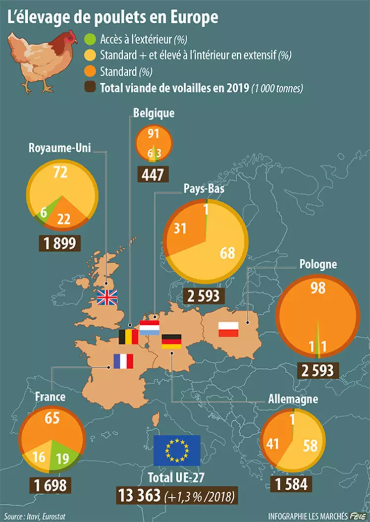 Elevage de volailles