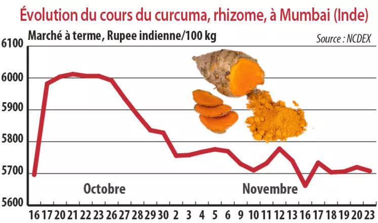 Evolution du cours du curcuma à Mumbai