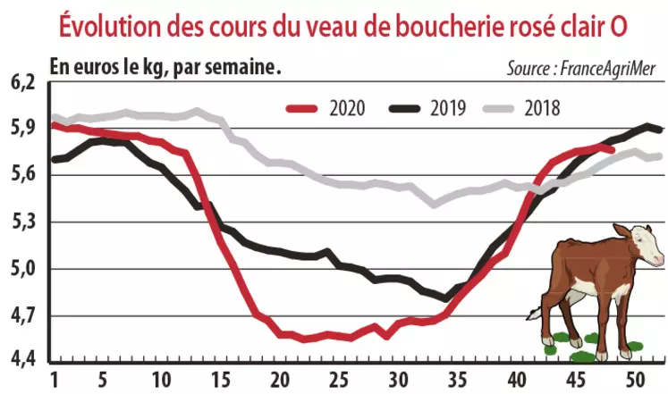 evolution des cours du veau de boucherie rosé clair O