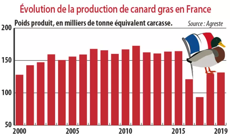 evolution de la production de canard gras en France