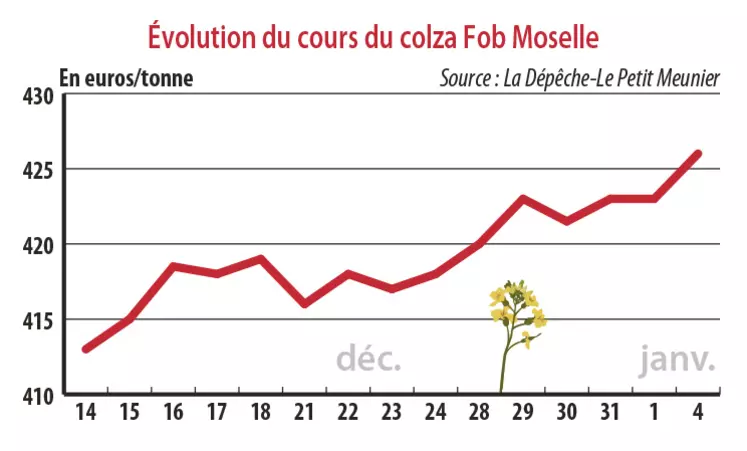 Evolution des cours du colza