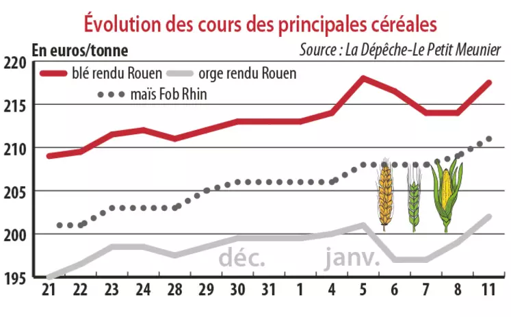 Evolution des cours des principales céréales