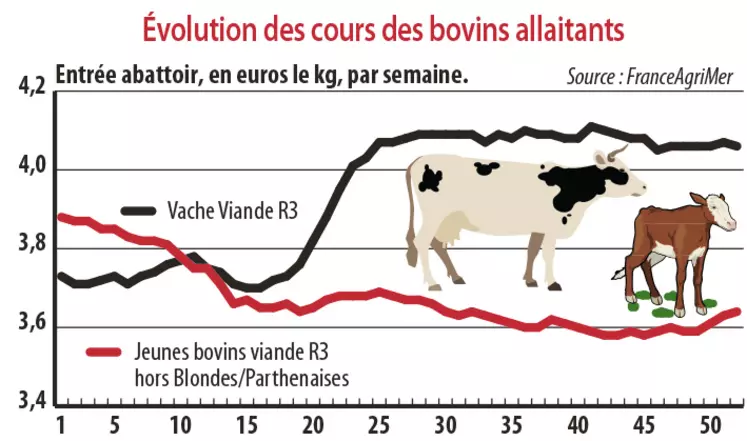 Evolution des cours des bovins allaitants