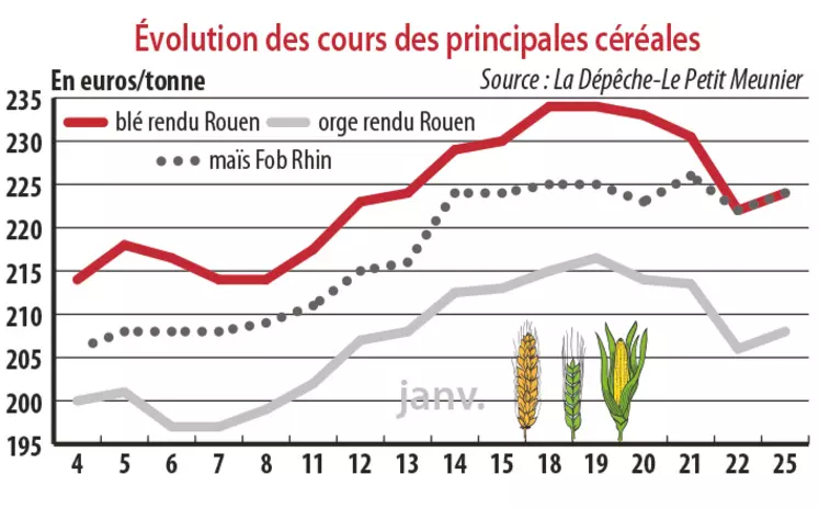 Evolution des cours des principales céréales