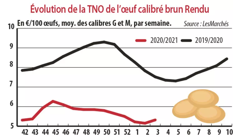 Evolution de la TNO œuf calibré