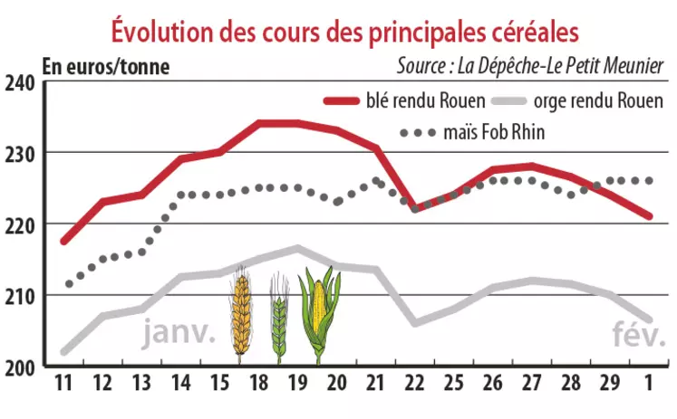 Evolution des cours des principales céréales