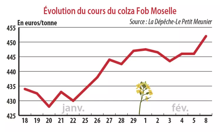 Evolution des cours du colza