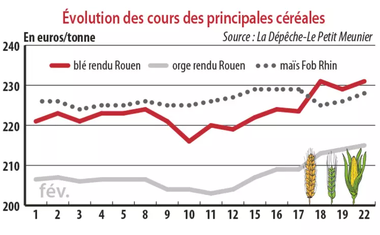 Evolution des cours des principales céréales