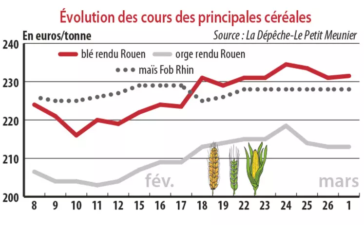 Evolution des cours des principales céréales