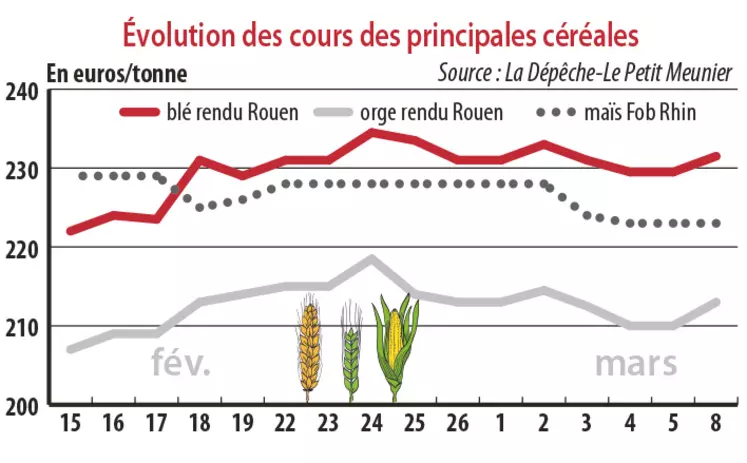 Evolution des cours des principales céréales