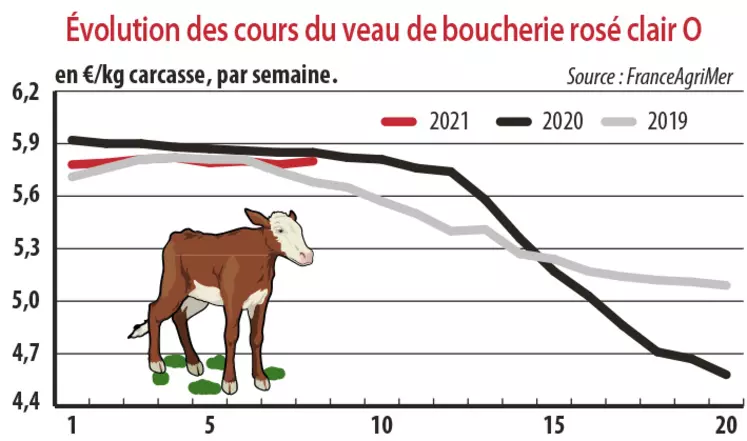 Evolution des cours du veau rosé clair O