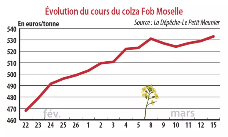 Evolution des cours du colza