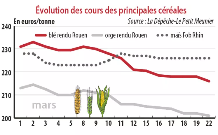 Evolution des cours des principales céréales