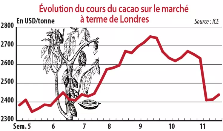 Evolution du cours du cacao sur le marché à terme de Londres