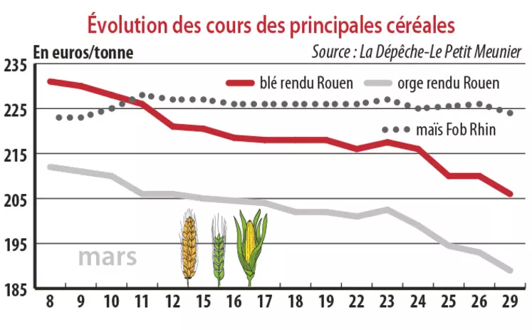 Evolution des cours des principales céréales