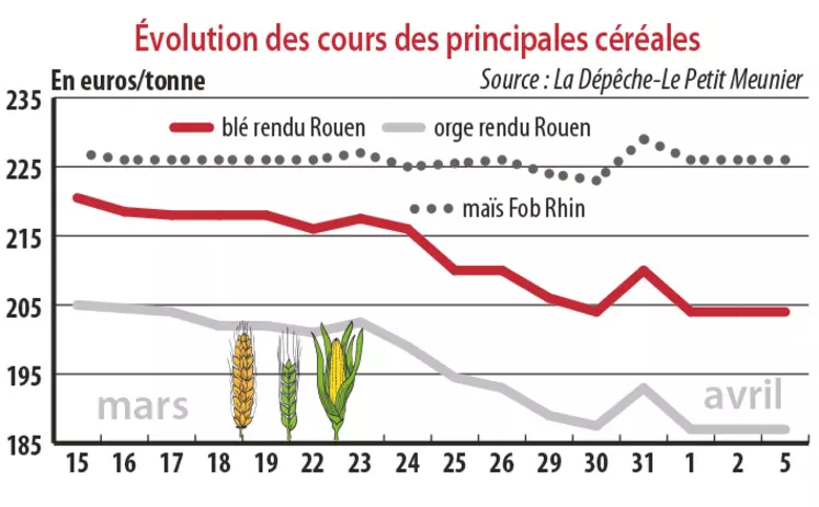 Evolution des cours des principales céréales