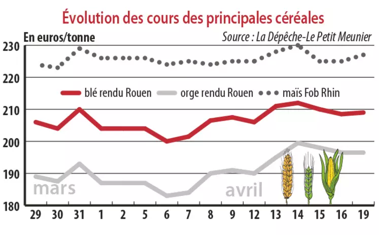 Evolution des cours des principales céréales