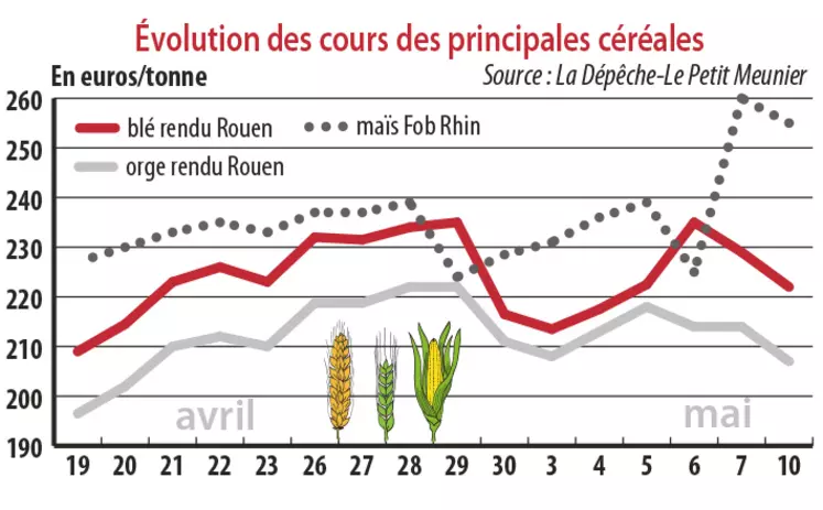 Evolution des cours des principales céréales