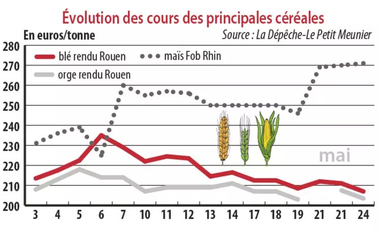 Evolution des cours des principales céréales