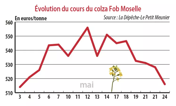 Evolution des cours du colza