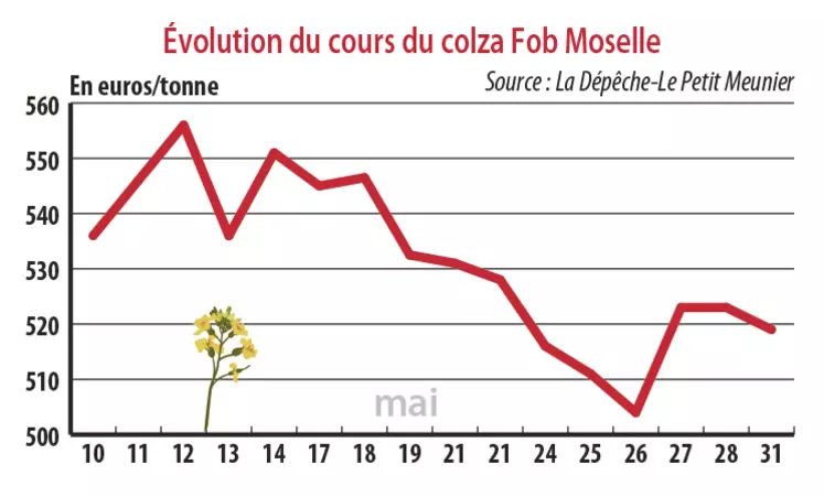 Evolution des cours du colza