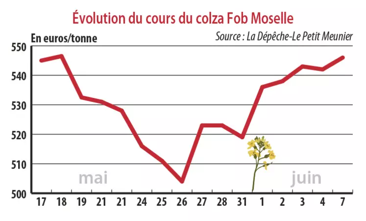 Evolution des cours du colza