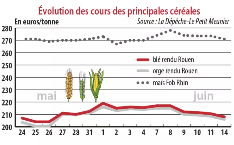 Evolution des cours des principales céréales