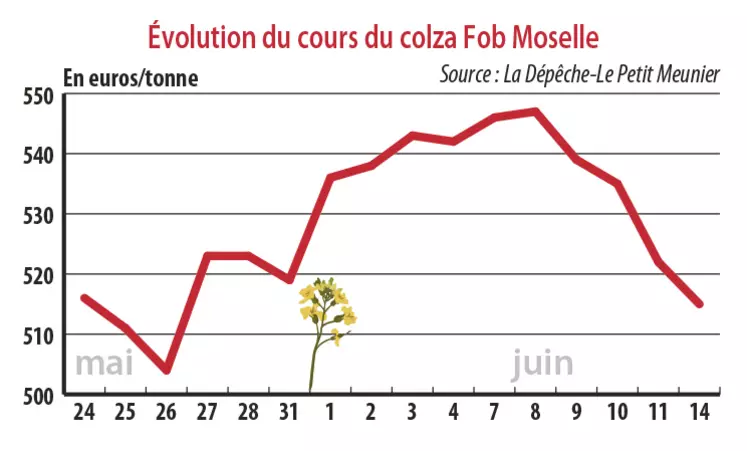 Evolution des cours du colza