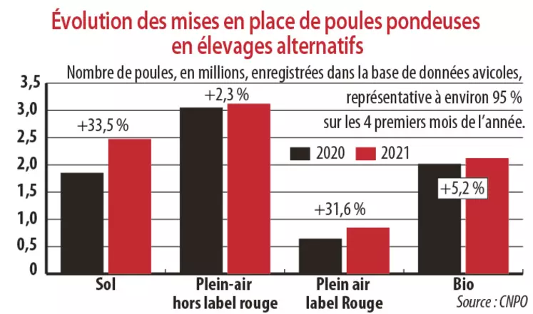 Evolution des mises en place de poules pondeuses en élevages alternatifs