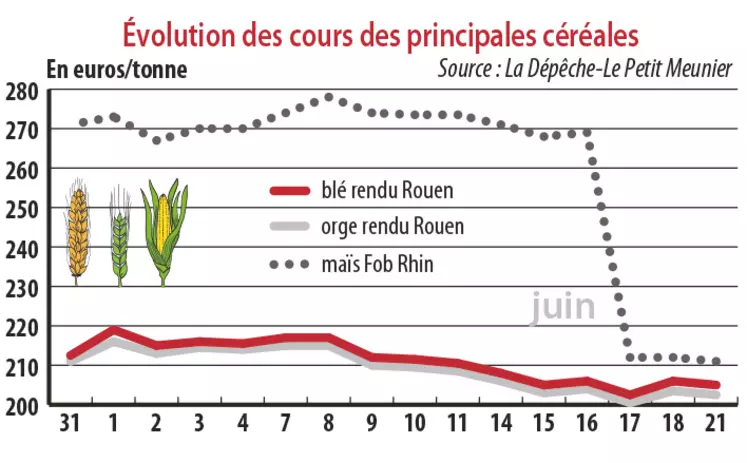 Evolution des cours des principales céréales