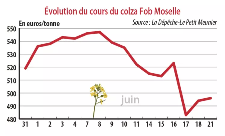 Evolution des cours du colza