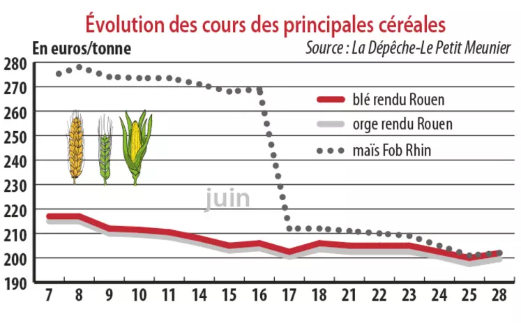 Evolution des cours des principales céréales