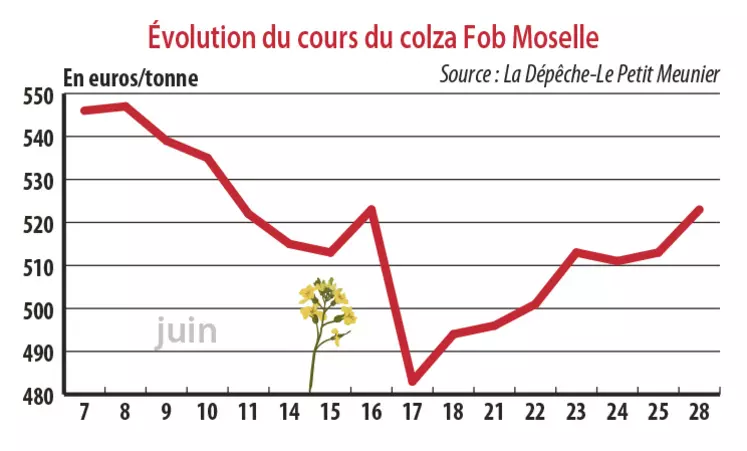 Evolution des cours du colza