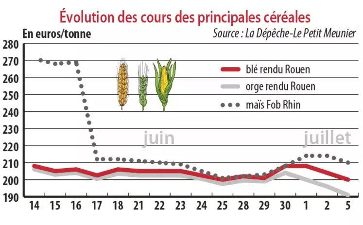 Evolution des cours des principales céréales