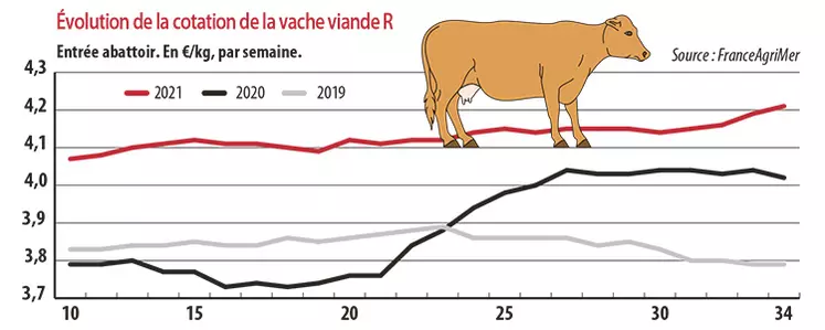 Evolution de la cotation de la vache viande R