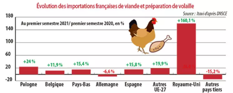Évolution des importations françaises de viande et préparation de volaille