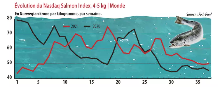 Évolution du Nasdaq Salmon Index, 4-5 kg | Monde 