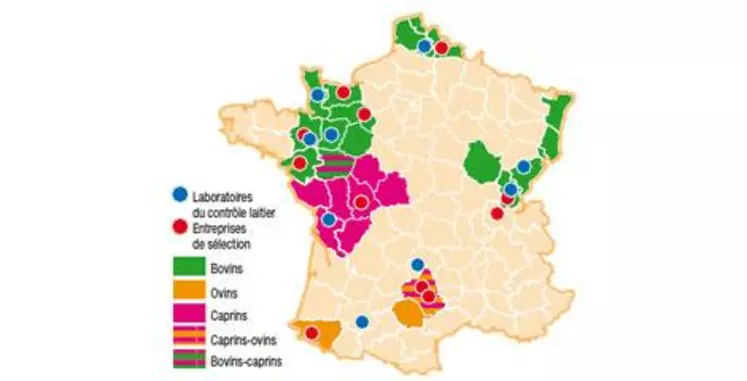 Avec le soutien financier de : ANR, Apis-Gène (Cniel, Unceia dans le cadre d’Agenae), Casdar, FranceAgriMer, France Génétique Elevage, ministère de l’Agriculture et de la Pêche et UE.